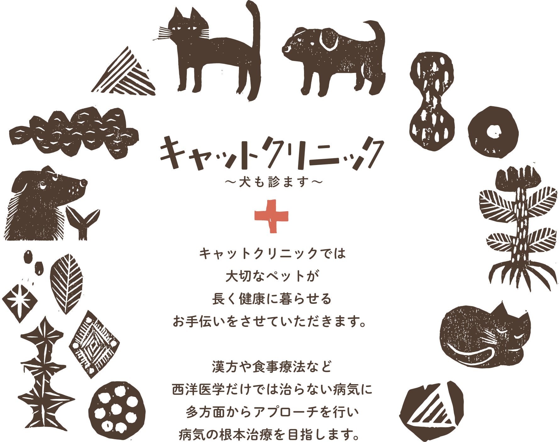 キャットクリニック｜滋賀県近江八幡の動物病院｜犬・猫の診療 キャットクリニックでは大切なペットが長く健康に暮らせるお手伝いをさせていただきます。漢方や食事療法など西洋医学だけでは治らない病気に多方面からアプローチを行い病気の根本治療を目指します。